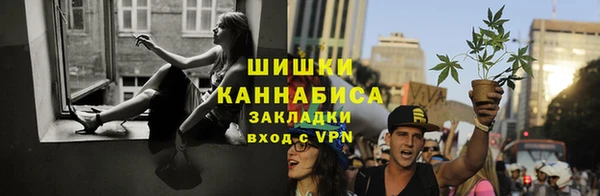 гидра Белокуриха