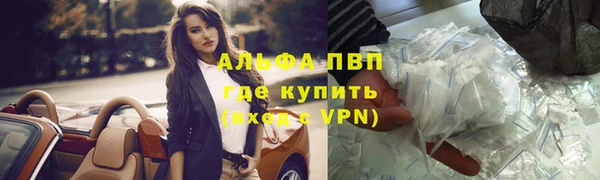 гидра Белокуриха