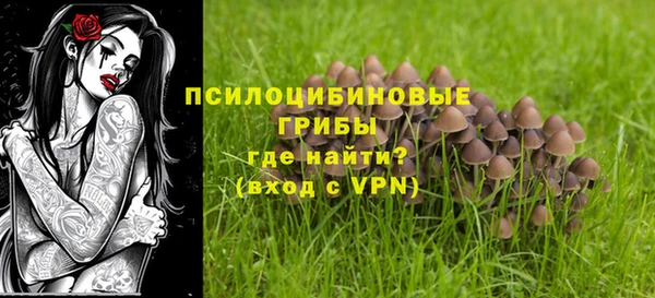 гидра Белокуриха