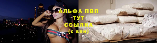гидра Белокуриха