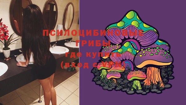 гидра Белокуриха