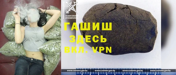 гидра Белокуриха
