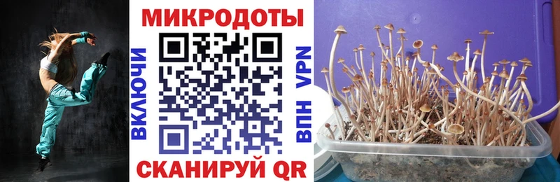 Галлюциногенные грибы Magic Shrooms  где можно купить   hydra маркетплейс  площадка официальный сайт  Воскресенск 